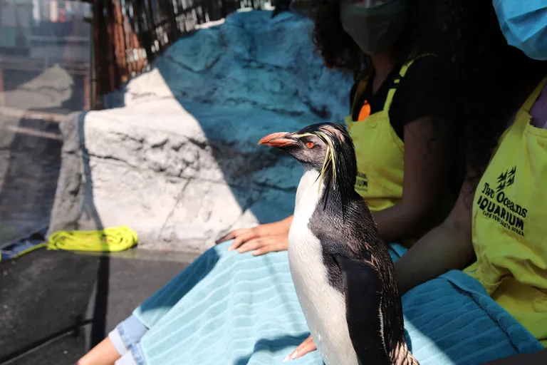 Day Pass - Child (14-17)